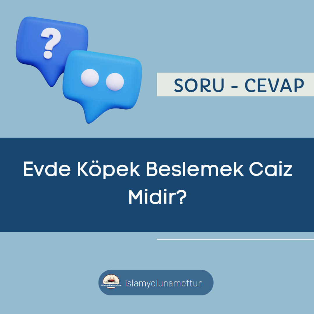 Evde Köpek Beslemek Caiz Midir?