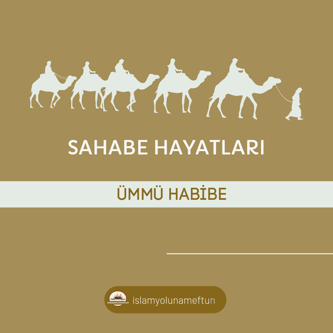 ÜMMÜ HABİBE