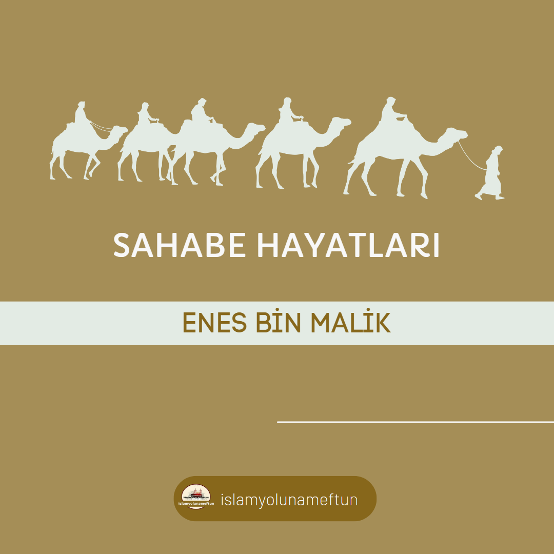 ENES BİN MALİK