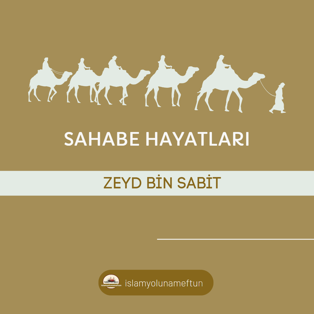 ZEYD BİN SABİT