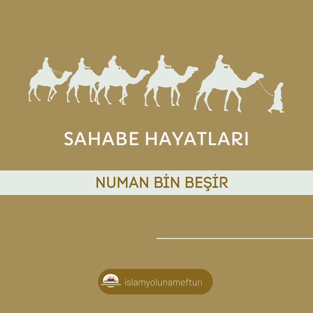 NUMAN BİN BEŞİR